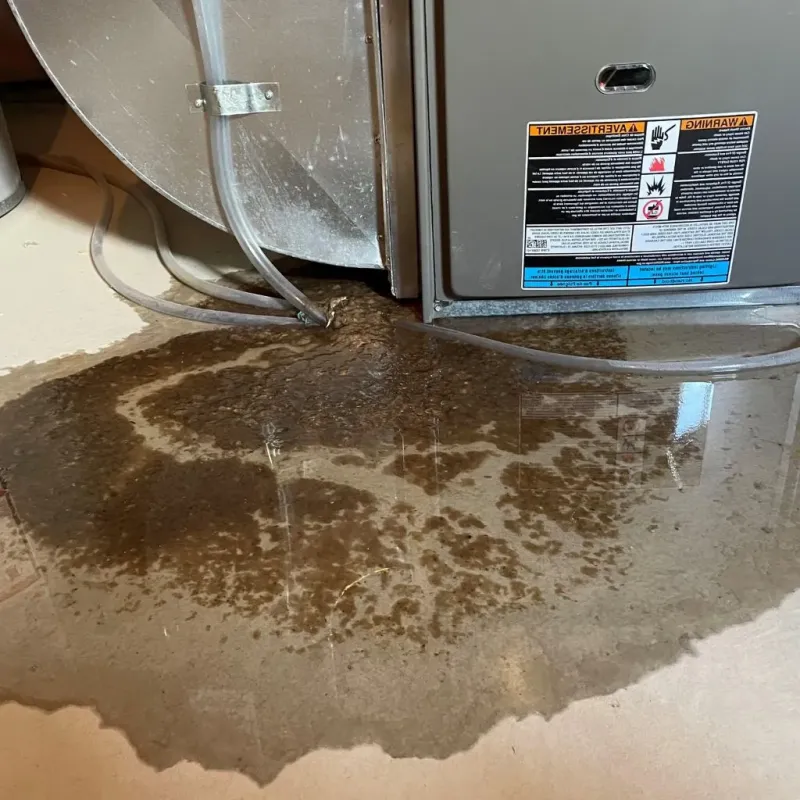 Pipe Burst and Leak Restoration in Morrow, OH