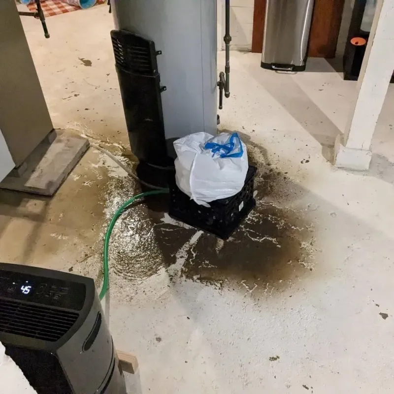 Sewage Backup Cleanup Service in Morrow, OH